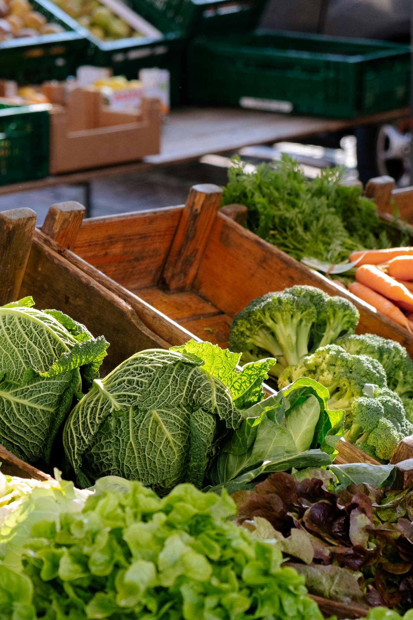 A vibrant display of fresh organic vegetables including cabbage, broccoli, and carrots at an outdoor market.